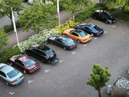 BMW E31 Treffen 2026